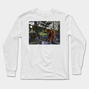 Scottish Highland Cattle Calf 1757 Long Sleeve T-Shirt